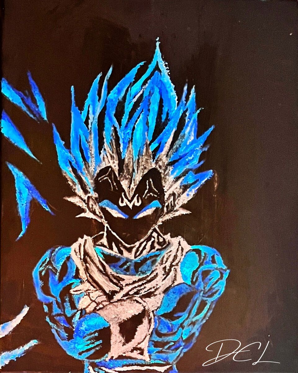 The Saiyan Prince